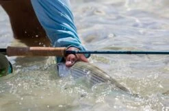 Redington Predator II Fly Rod -Visserijmeesterwinkel Redington Predator II Fly Rod 05 851 XX knipsel4