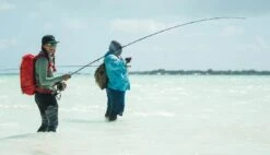 Redington Predator II Fly Rod -Visserijmeesterwinkel Redington Predator II Fly Rod 05 851 XX knipsel6