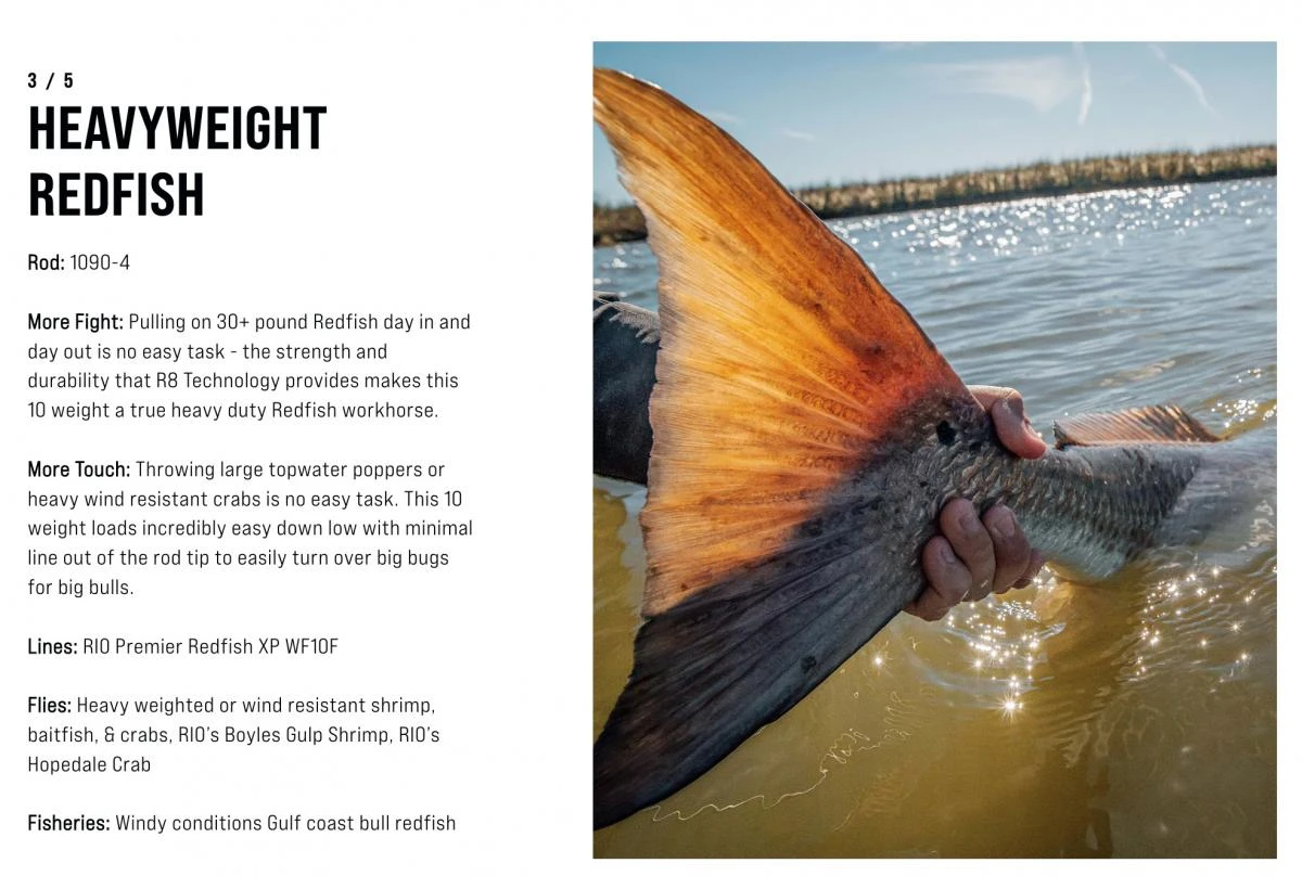 SAGE Salt R8 Fly Rod 16 SAGE Salt R8 Fly Rod - Afbeelding 16