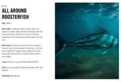 SAGE Salt R8 Fly Rod 33 SAGE Salt R8 Fly Rod -Visserijmeesterwinkel SAGE Salt R8 Fly Rod 03 17 XXX 15