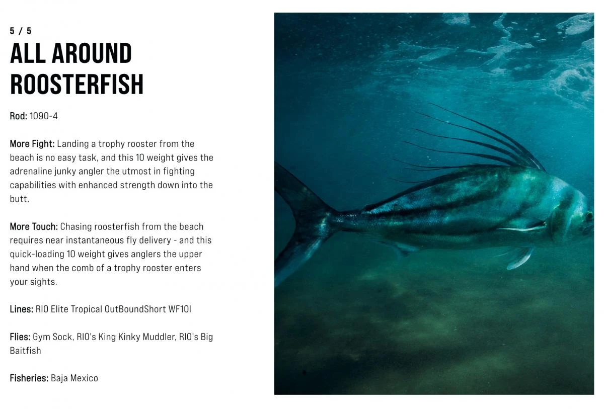 SAGE Salt R8 Fly Rod 14 SAGE Salt R8 Fly Rod - Afbeelding 14