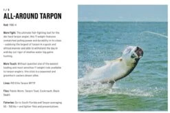 SAGE Salt R8 Fly Rod 32 SAGE Salt R8 Fly Rod -Visserijmeesterwinkel SAGE Salt R8 Fly Rod 03 17 XXX 16