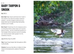 SAGE Salt R8 Fly Rod 39 SAGE Salt R8 Fly Rod -Visserijmeesterwinkel SAGE Salt R8 Fly Rod 03 17 XXX 9