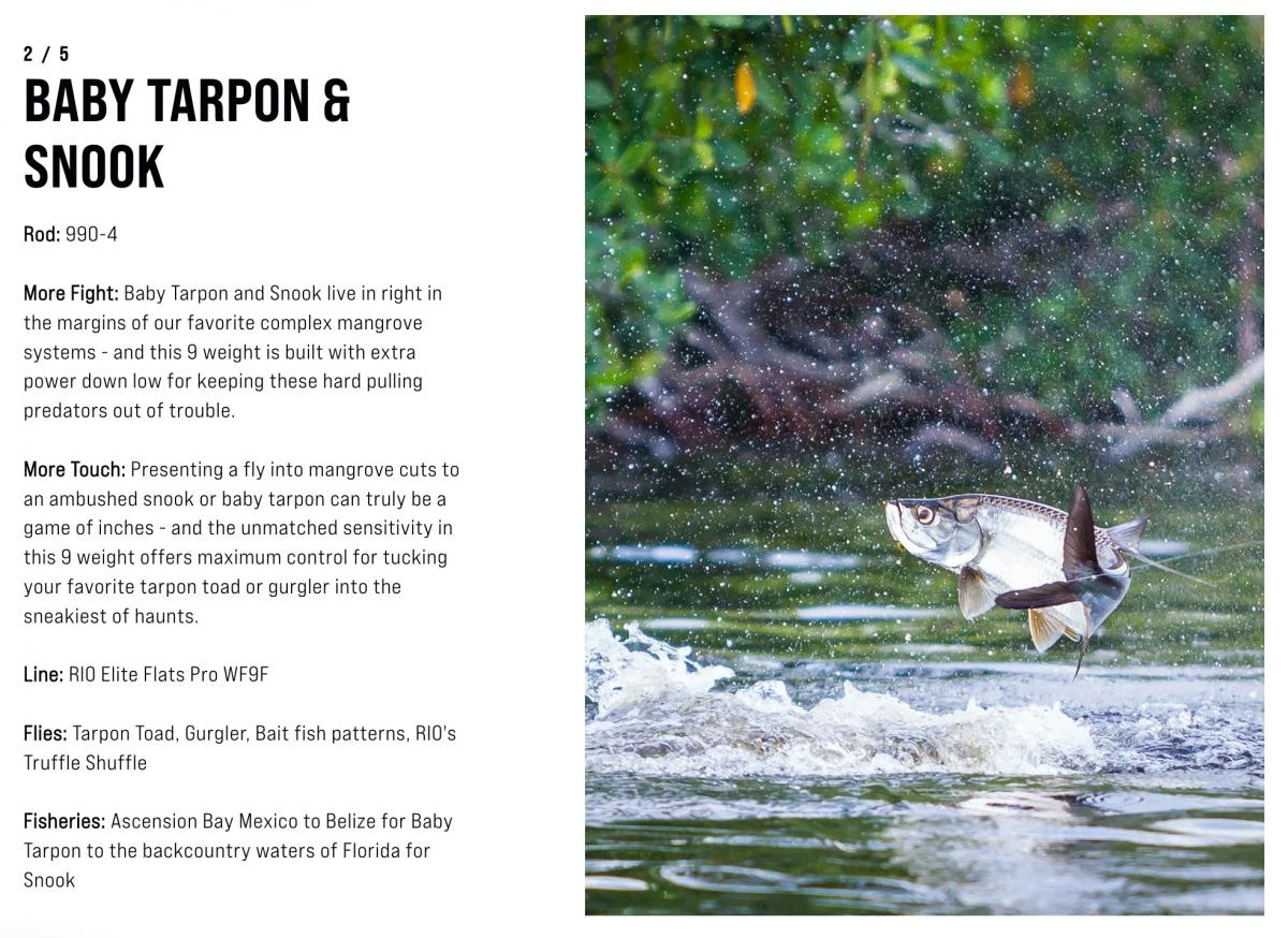 SAGE Salt R8 Fly Rod 20 SAGE Salt R8 Fly Rod - Afbeelding 20