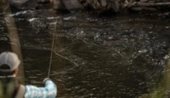 SAGE Sense Fly Rod -Visserijmeesterwinkel SAGE Sense Fly Rod SAGESENSEROD XXX sense tube2