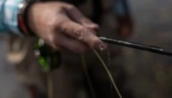 SAGE Sense Fly Rod -Visserijmeesterwinkel SAGE Sense Fly Rod SAGESENSEROD XXX sense tube4