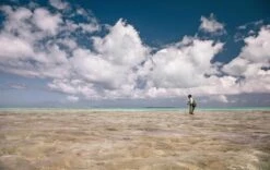 Sage Maverick Fly Rod -Visserijmeesterwinkel Sage Maverick Fly Rod 03 54XXXX maverick 2