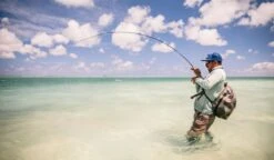 Sage Maverick Fly Rod -Visserijmeesterwinkel Sage Maverick Fly Rod 03 54XXXX maverick 3