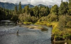 Sage Sonic Fly Rod -Visserijmeesterwinkel Sage Sonic Fly Rod SONICROD XXX 1d455170 168c 4505 b715 97fffb14e6c5