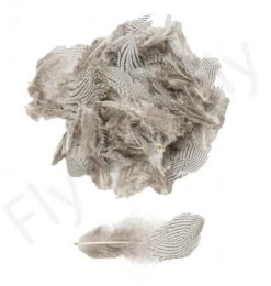 Silver Pheasant Body Feathers 3gr