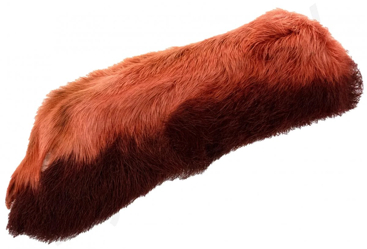 Snowshoe Rabbit 9 Snowshoe Rabbit - Afbeelding 9