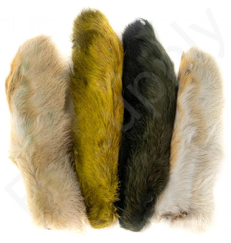 Snowshoe Rabbit 1 Snowshoe Rabbit