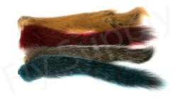 Squirrel Tails