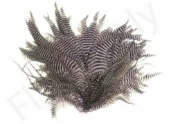 Streamer Saddle Patch Big -Visserijmeesterwinkel Streamer Saddle Patch Big CASC SSPB X dsc09057