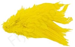 Strung Schlappen -Visserijmeesterwinkel Strung schlappen 40 12XXX dsc09488 bewerkt