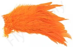 Strung Schlappen -Visserijmeesterwinkel Strung schlappen 40 12XXX dsc09490 bewerkt