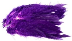 Strung Schlappen -Visserijmeesterwinkel Strung schlappen 40 12XXX dsc09492 bewerkt