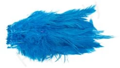 Strung Schlappen -Visserijmeesterwinkel Strung schlappen 40 12XXX dsc09493 bewerkt