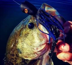 Surface Seducer Dragon Eyes 20pc -Visserijmeesterwinkel Surface Seducer Dragon Eyes 20pc DRAGONEYES XXX dragon eyes mix3