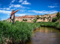 Thomas & Thomas Lotic Fly Rod -Visserijmeesterwinkel Thomas Thomas Lotic Fly Rod LOTIC XXX schermafbeelding 2022 10 19 om 17.07