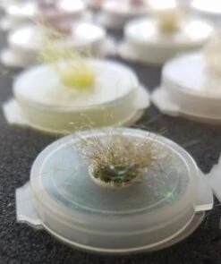 UTC Vials 9 Pack -Visserijmeesterwinkel UTC Vials 9 pack UTCXV vial close up 159x3002 1