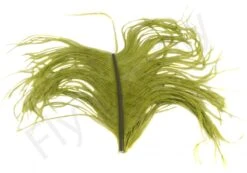 Veniard Ostrich Herl 24 Veniard Ostrich Herl -Visserijmeesterwinkel Veniard Ostrich Herl OSTH XXX medium olive