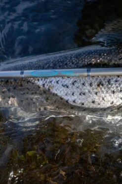 Vision Meri 4pc Fly Rod -Visserijmeesterwinkel Vision Meri 4pc Fly Rod VRI49XXX photobyroberthansson 16 scaled 1