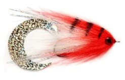 Vision Merisuola Predator Rod Outfit 26 Vision Merisuola Predator Rod Outfit -Visserijmeesterwinkel Vision Merisuola Predator Outfit VISMERISUPREDOUT XXX fulling mill paolos wiggle tail whitered