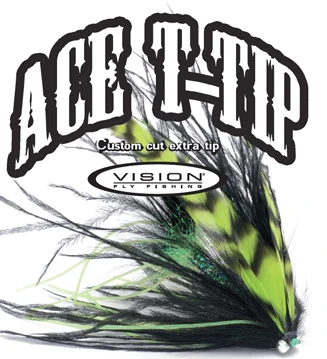 Vision Ace T-Tip 12ft 1 Vision Ace T-Tip 12ft