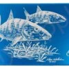 Wheatley Ripple Large Blue Bonefish Aluminium Fly Box