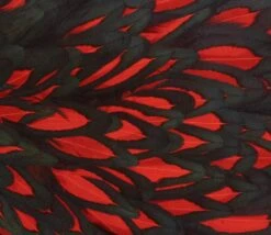 Whiting American Hen Saddle -Visserijmeesterwinkel Whiting American Hen Saddle WHIT AMHENSAD dsc00401 bewerkt 2