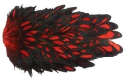 Whiting American Hen Saddle -Visserijmeesterwinkel Whiting American Hen Saddle WHIT AMHENSAD dsc00401 bewerkt