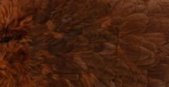 Whiting American Hen Saddle -Visserijmeesterwinkel Whiting American Hen Saddle WHIT AMHENSAD dsc028862