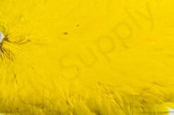 Whiting American Hen Saddle -Visserijmeesterwinkel Whiting American Hen Saddle WHIT AMHENSAD dsc028872