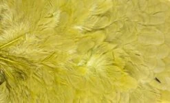 Whiting American Hen Saddle -Visserijmeesterwinkel Whiting American Hen Saddle WHIT AMHENSAD dsc03597 bewerkt 2