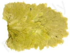 Whiting American Hen Saddle -Visserijmeesterwinkel Whiting American Hen Saddle WHIT AMHENSAD dsc03597 bewerkt