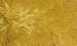 Whiting American Hen Saddle -Visserijmeesterwinkel Whiting American Hen Saddle WHIT AMHENSAD dsc03598 bewerkt 2