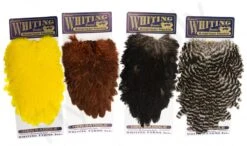 Whiting American Hen Saddle