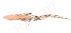 Whiting Bird Fur Feathers -Visserijmeesterwinkel Whiting Bird Fur Feathers WH61842 XXX dsc02531 bewerkt