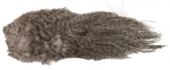 Whiting Bird Fur Feathers -Visserijmeesterwinkel Whiting Bird Fur Feathers WH61842 XXX dsc02532 bewerkt