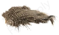 Whiting Bird Fur Feathers -Visserijmeesterwinkel Whiting Bird Fur Feathers WH61842 XXX dsc02534 bewerkt