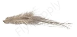 Whiting Bird Fur Feathers -Visserijmeesterwinkel Whiting Bird Fur Feathers WH61842 XXX dsc02540 bewerkt