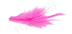 Whiting Bird Fur Feathers -Visserijmeesterwinkel Whiting Bird Fur Feathers WH61842 XXX dsc02544 bewerkt