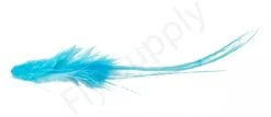 Whiting Bird Fur Feathers -Visserijmeesterwinkel Whiting Bird Fur Feathers WH61842 XXX dsc02546 bewerkt