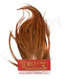 Whiting Bugger Pack -Visserijmeesterwinkel Whiting Bugger Pack WH91871 XXX dsc02554 bewerkt