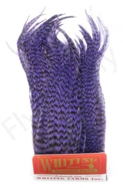 Whiting Bugger Pack -Visserijmeesterwinkel Whiting Bugger Pack WH91871 XXX dsc08090 bewerkt