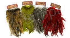 Whiting Coq De Leon Saddle Bronze