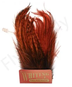 Whiting Coq De Leon Tailing Pack -Visserijmeesterwinkel Whiting Coq de Leon Tailing Pack CDLTP X dsc00986 bewerkt