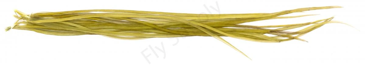 Whiting Dry Fly Saddle Feather Pack 18pc 12 Whiting Dry Fly Saddle Feather Pack 18pc - Afbeelding 12