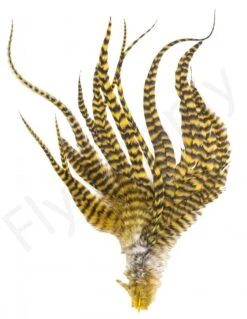 Whiting Grizzly Schlappen Feathers Long 7 Whiting Grizzly Schlappen Feathers Long -Visserijmeesterwinkel Whiting Grizzly Schlappen Feathers Long WHIT SCHLAPBUND grizzly golden